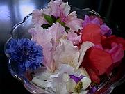 千葉の家で摘んだ花々。