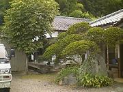 離れとその手前の植木・庭石達・・・。