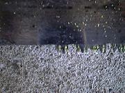 歯が無くなった鋸