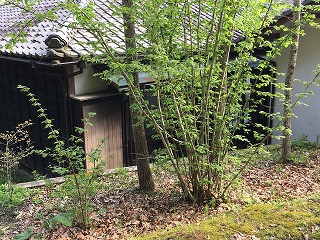 2017年4月23日