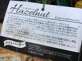 2017年3月22日