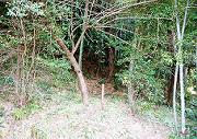 筍山