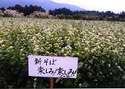 �䂪�Ƃ̋���