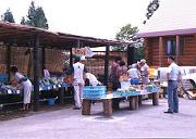 �����ԍՂ�