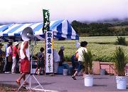 �����ԍՂ�