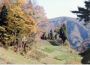 ���x�������`�I