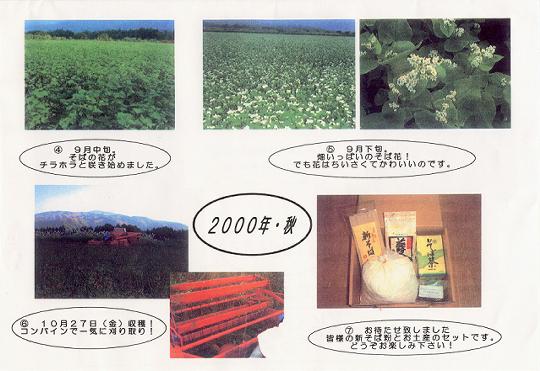 �����̐����A���o��