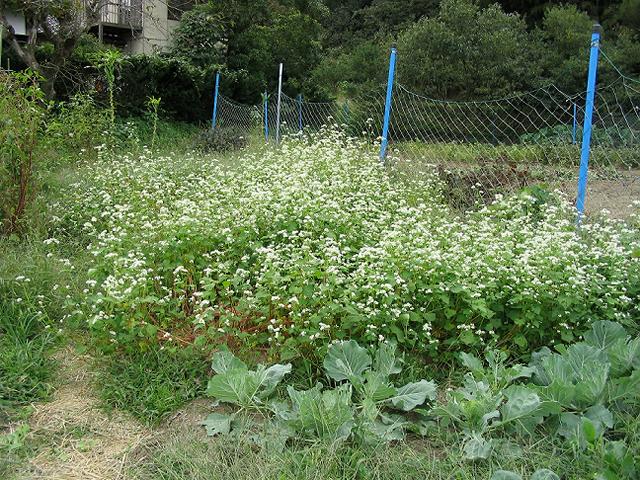 �Q�O�O�R�N�P�O���T��