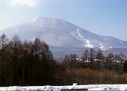 ���P�R�E�E�E���ȁH