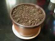 ���A���̋���