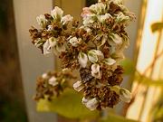 �����t���܂���B