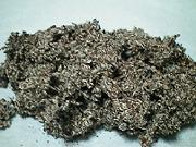 �����O�̃I���}�{�N�`�B