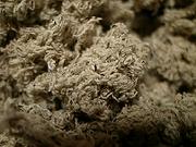 ���������I���}�{�N�`�B