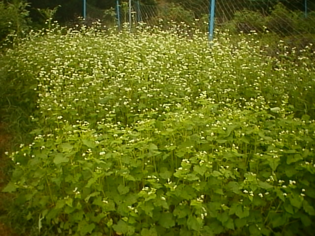 �Q�O�O�R�N�X���Q�O��