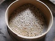 �҂�����