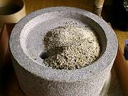 �ΉP�Ŕ҂��܂��B