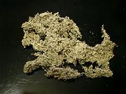 �o���������I���}�{�N�`