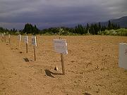 �̌��̋���