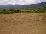 �I�[�i�[���x�̎�܂��\��n�ł��B