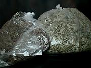 �����Ă����������I���}�{�N�`���i�B