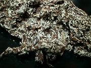 �͂ꂽ�̂����n�������B