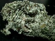 �ĂɎ��n���Ċ��������B