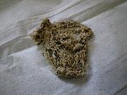 �Ƃ肠�����A�����H