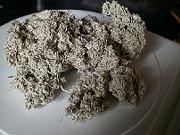 �Ƃ肠���������B