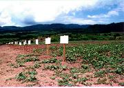 �X�̉Ƃ̋���01